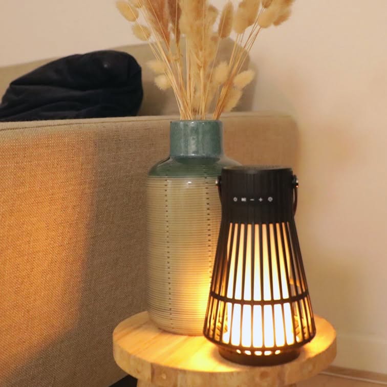 PowerTrend LED FLAME SPEAKER 47FLAME_1